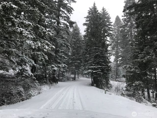 20 Deer Point Lane, Ronald, WA 98940