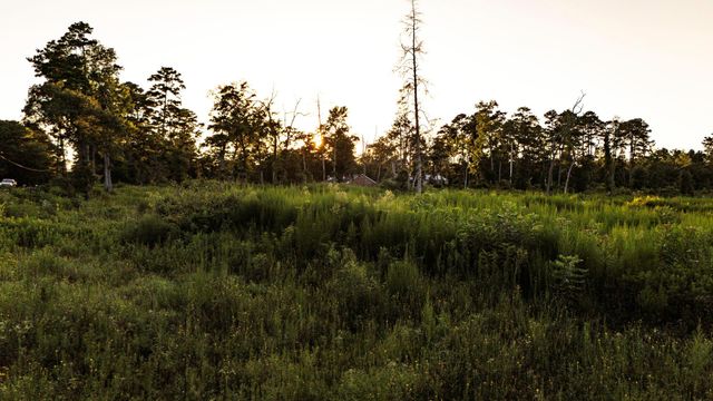 24350 Weeren Road, Montgomery, TX 77316