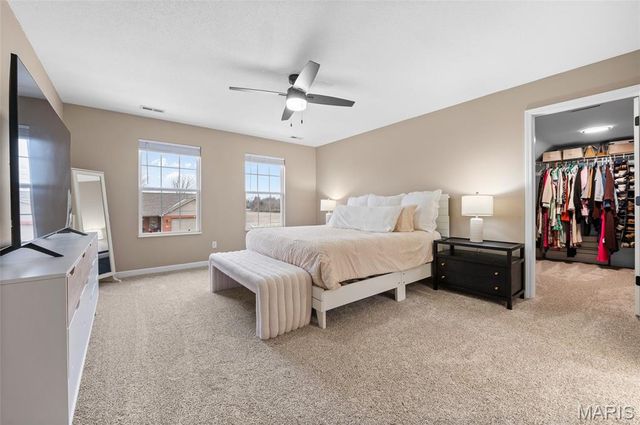 416 Telluride Drive, Freeburg, IL 62243