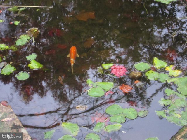 12 PHILLIPS LN, Chester Springs, PA 19425