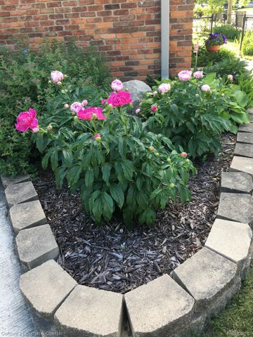 900 Meridan Street, Dearborn, MI 48124