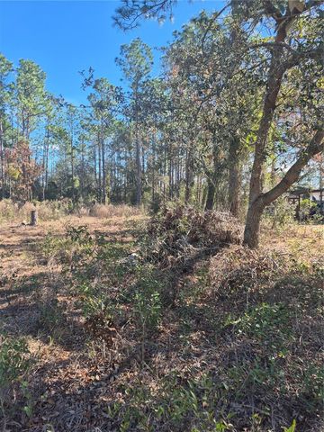 SE 87 TER, Belleview, FL 34420