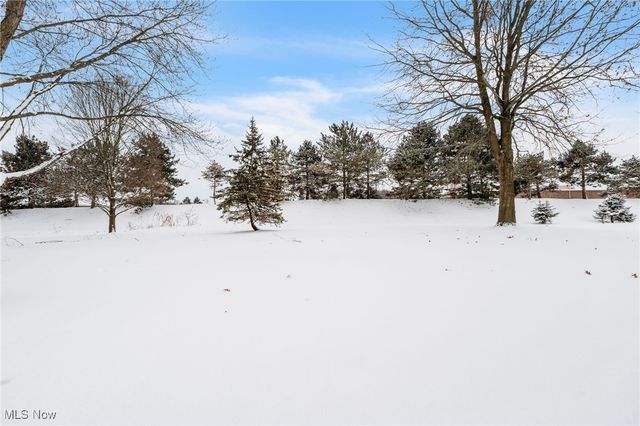 1028 Sherwood Drive, Macedonia, OH 44056