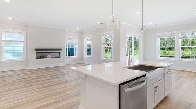 393 Brightside Trail, Summerville, SC 29486