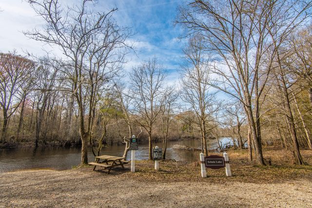 137 Brant Drive, Summerville, SC 29483