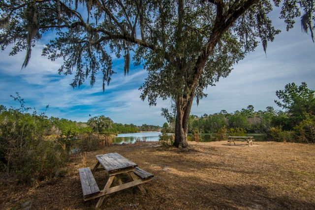 137 Brant Drive, Summerville, SC 29483