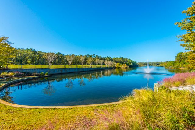 137 Brant Drive, Summerville, SC 29483