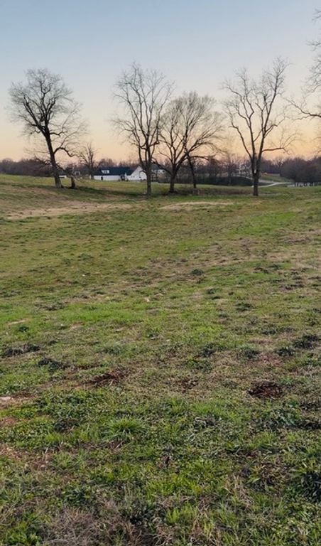TBD W BUCK Avenue, Tontitown, AR 72762