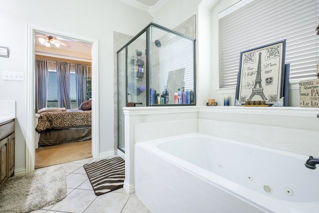 13788 Old Oaks Drive, Fort Worth, TX 76028