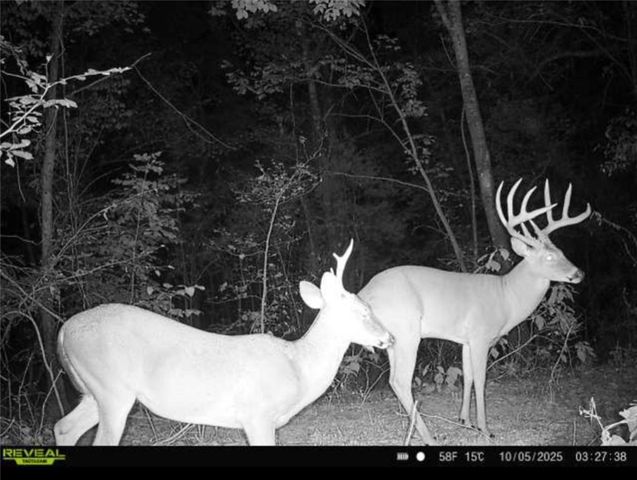 10972 Cowger Lane, Dardanelle, AR 72834