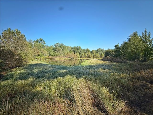 10972 Cowger Lane, Dardanelle, AR 72834