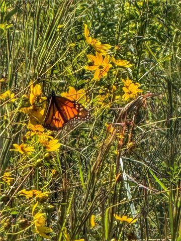 10972 Cowger Lane, Dardanelle, AR 72834