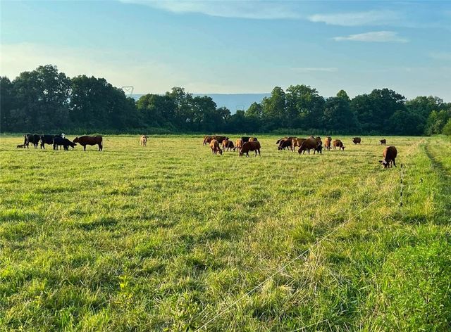 10972 Cowger Lane, Dardanelle, AR 72834