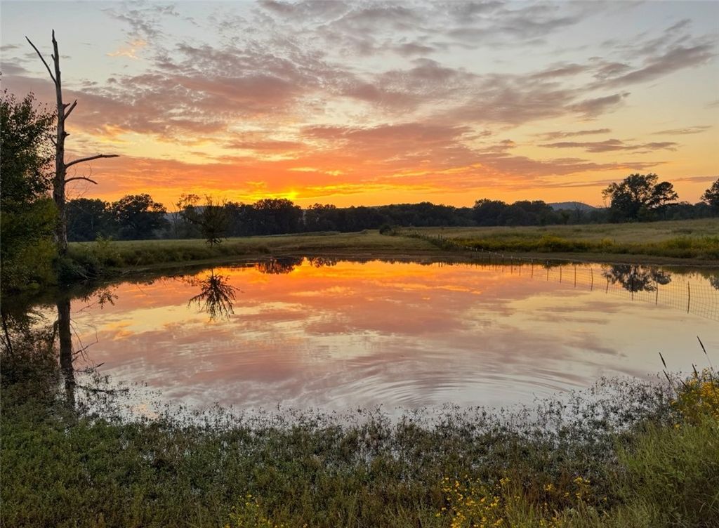 10972 Cowger Lane, Dardanelle, AR 72834