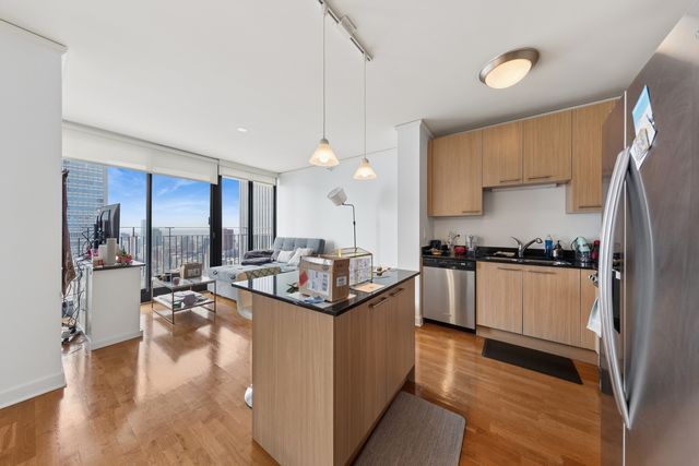 225 N Columbus Drive 6009, Chicago, IL 60601