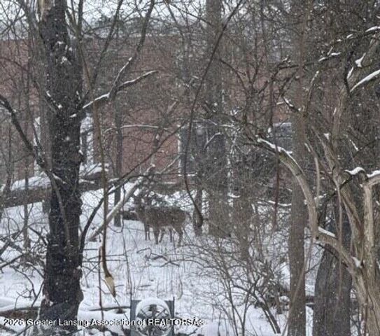 3215 S Cambridge Road, Lansing, MI 48911