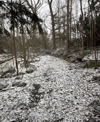 3215 S Cambridge Road, Lansing, MI 48911