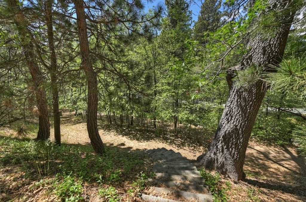 Image 31 of property listing at 1023 Pintail Circle, Lake Arrowhead, CA 92352