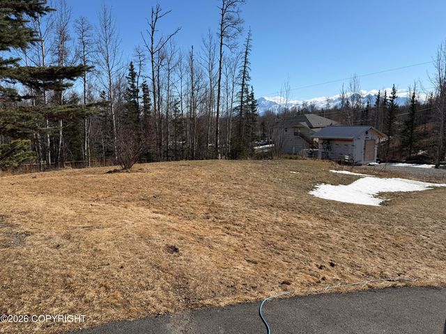 3199 N Snow Goose Drive, Wasilla, AK 99654