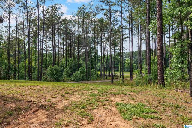 755 CHILDERSBURG FAYETTEVILLE HIGHWAY, Childersburg, AL 35044