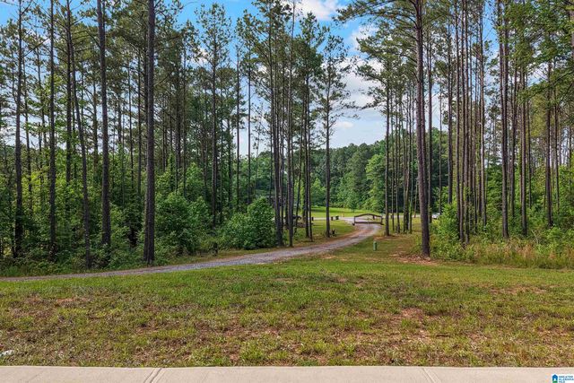 755 CHILDERSBURG FAYETTEVILLE HIGHWAY, Childersburg, AL 35044