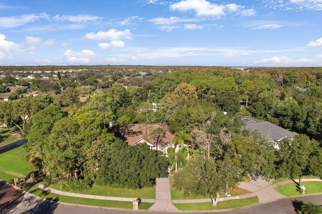 110 DEERPATH DRIVE, Oldsmar, FL 34677