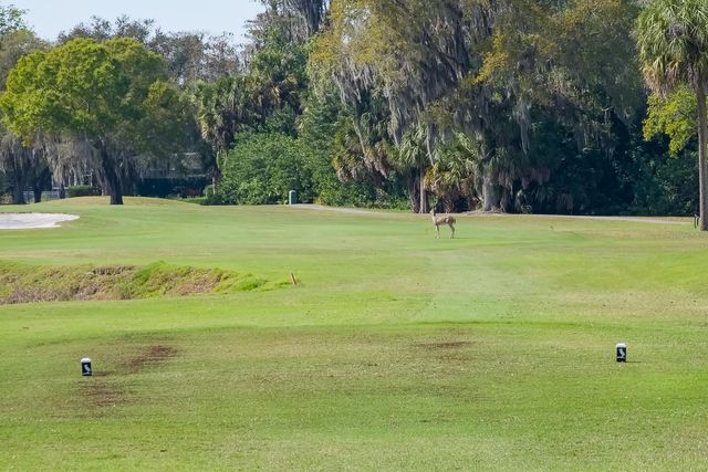 110 DEERPATH DRIVE, Oldsmar, FL 34677