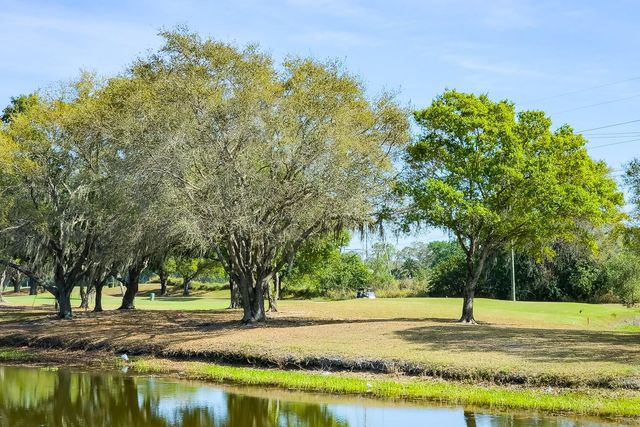 110 DEERPATH DRIVE, Oldsmar, FL 34677