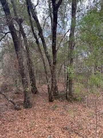 00 RIVIERA DRIVE, Interlachen, FL 32148