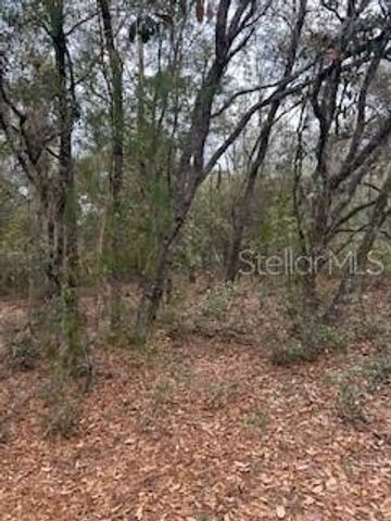 00 RIVIERA DRIVE, Interlachen, FL 32148