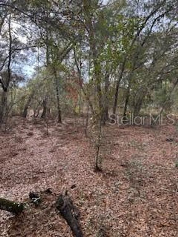 00 RIVIERA DRIVE, Interlachen, FL 32148