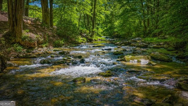 2100 Big Creek Road, Cherry Log, GA 30522
