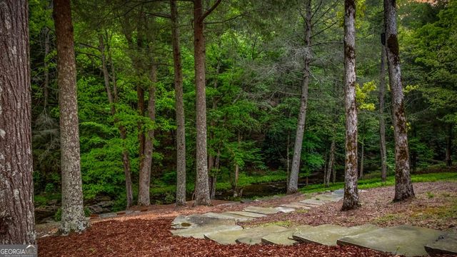 2100 Big Creek Road, Cherry Log, GA 30522
