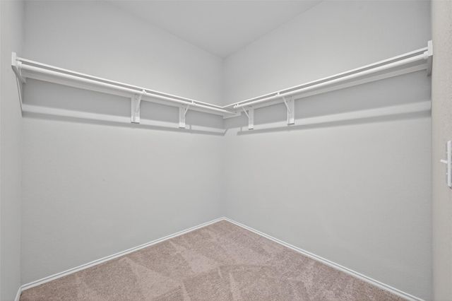 15171 Willow Tree Lane, New Caney, TX 77357