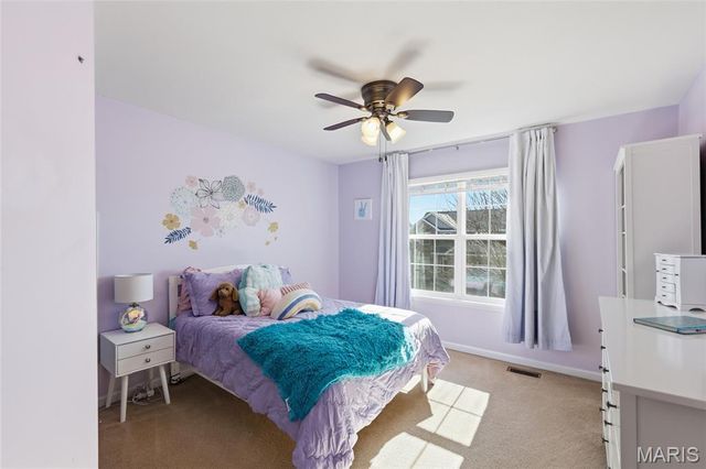 361 Magoffin Trails Court, Oakville, MO 63129