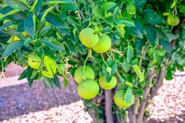 934 N Abrego Drive, Green Valley, AZ 85614