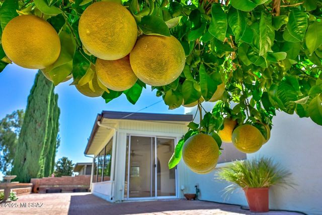 934 N Abrego Drive, Green Valley, AZ 85614