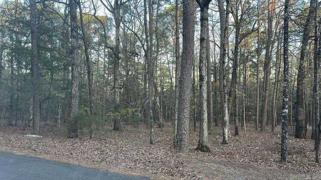 145 Lumberjack Ln, Fairfield Bay, AR 72088