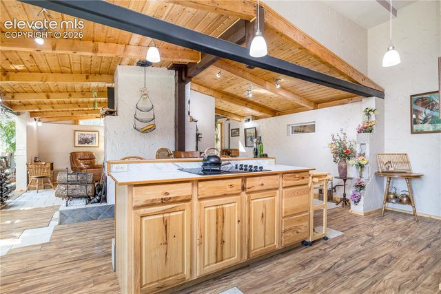 2493 County Road 782, Woodland Park, CO 80863