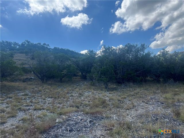 TBD Vista Overlook Way, Canyon Lake, TX 78133