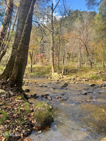 150 Little Branch Road, Flag Pond, TN 37657