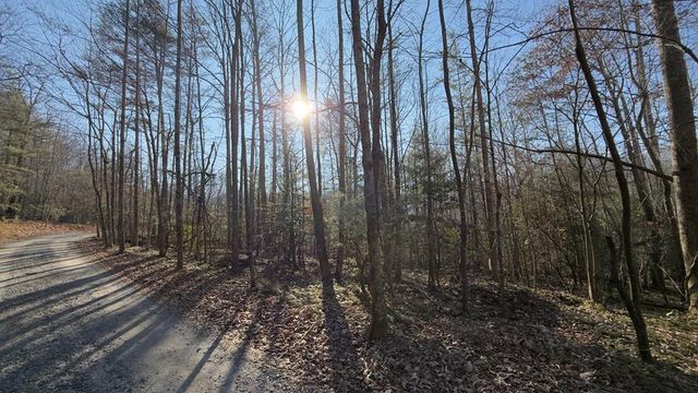 NA Shady Lane, Hiawassee, GA 30546