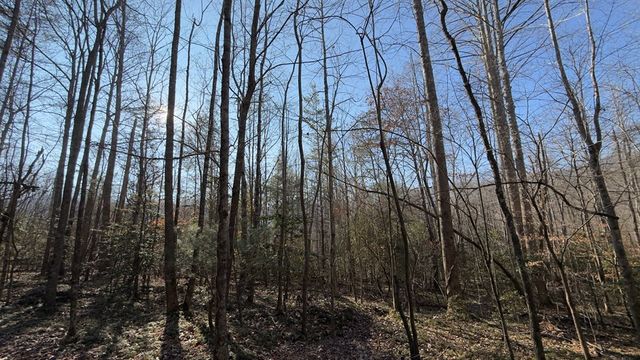 NA Shady Lane, Hiawassee, GA 30546