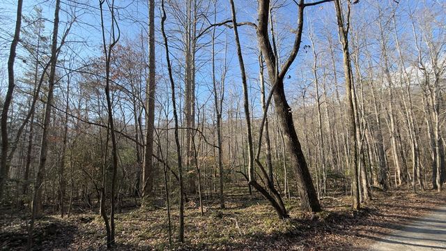 NA Shady Lane, Hiawassee, GA 30546