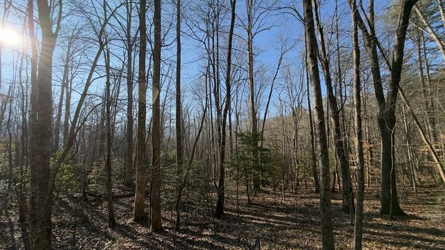 NA Shady Lane, Hiawassee, GA 30546