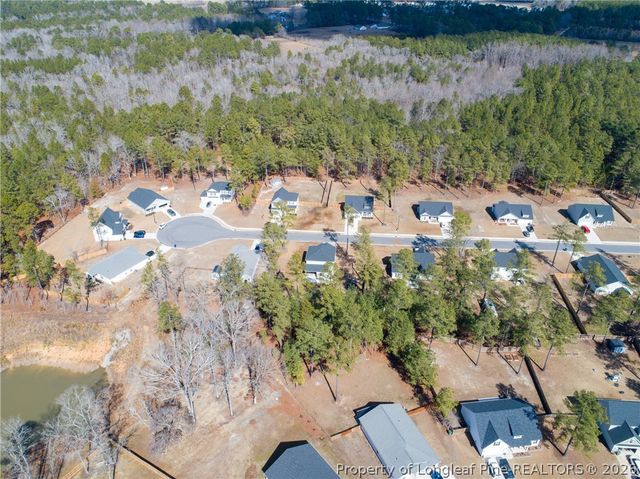 215 Cafe Prince Court, Raeford, NC 28376