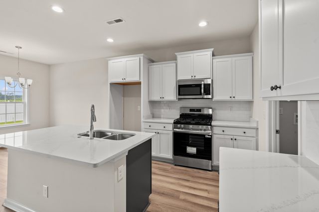 256 Sweetbridge Way, Longs, SC 29568