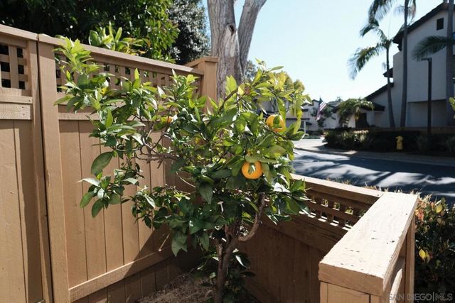 6306 Caminito Del Cervato, San Diego, CA 92111