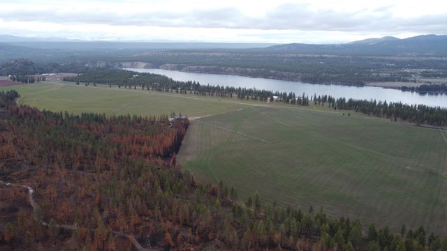 Xxx Coyote Ridge Ln, Ford, WA 99013