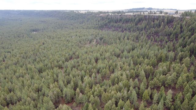 Xxx Coyote Ridge Ln, Ford, WA 99013